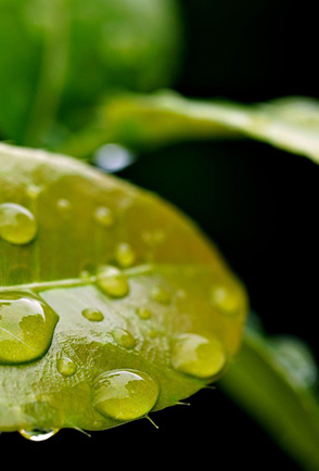 We have been audited and found to be in conformity with the Global Recycled Standard 4.0 (GRS 4.0).